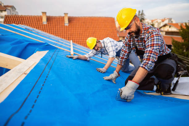 Best Roof Gutter Cleaning  in Mantachie, MS