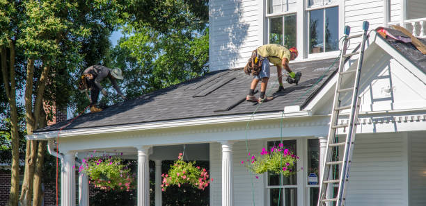Best Roof Gutter Cleaning  in Mantachie, MS