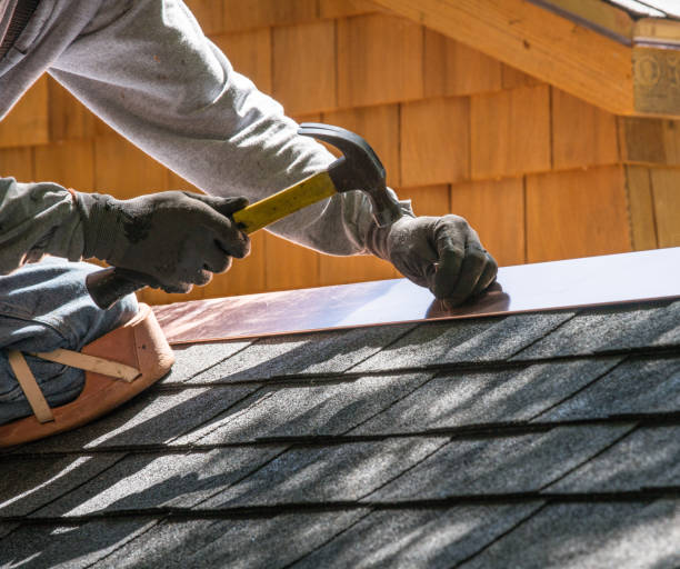 Best Roofing Contractors for Homes  in Mantachie, MS